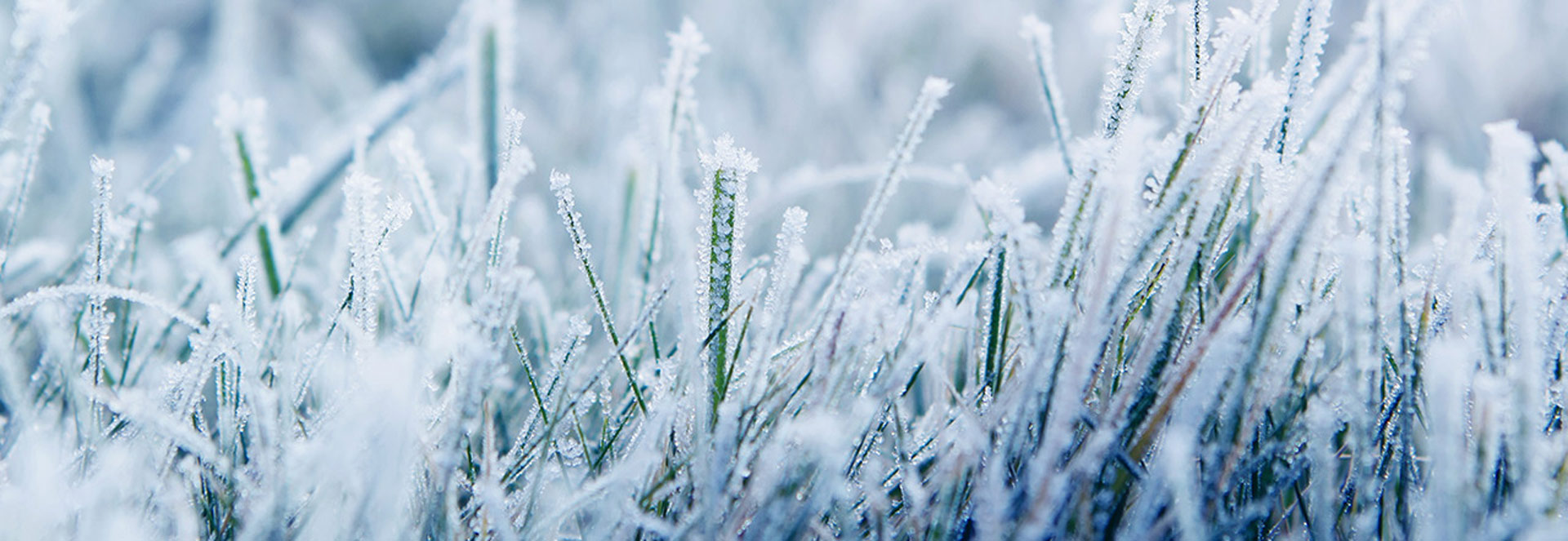 endüstriyel chiller su soğutma cihazları